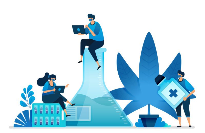 Cannabis and marijuana research for health. Ganja plant for industry. Medical raw herbs for health research. Can be used for landing page, website, web, mobile apps, flyer banner, template, poster