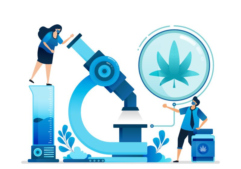 Cannabis vector illustrations. Research and development of ganja for education, health and commercial medicine. Can be used for landing page, website, web, mobile apps, flyer banner, template, poster